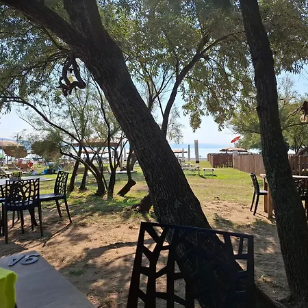 Maya's Монфальконе