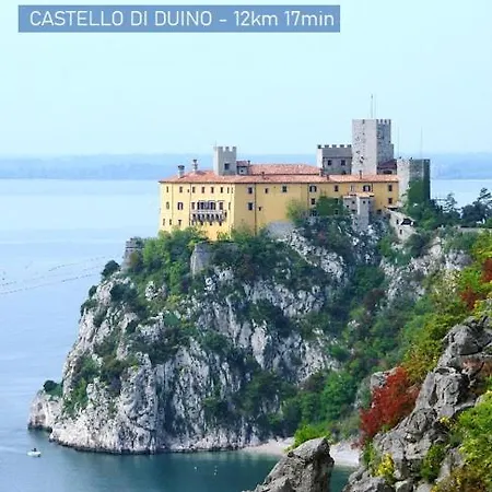 Maya's 蒙法尔科内