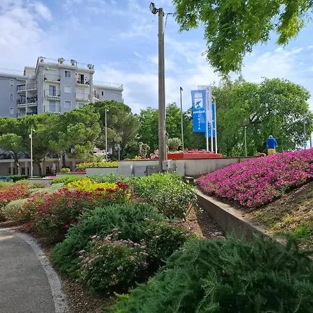 公寓 Maya's 蒙法尔科内